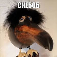 Артём 10 лет 50 часо