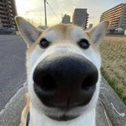 тубик
