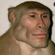 Banesko3