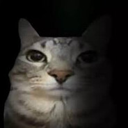 Кот Зазу