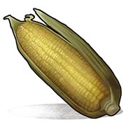 Corn