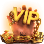 VIP